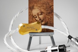 Art Series Da Vinci Power